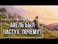 Авель был пастух, почему? Максим Каскун