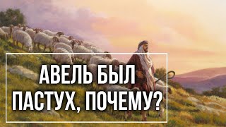 Авель был пастух, почему? Максим Каскун