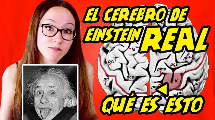 Las cosas RARITAS del cerebro de EINSTEIN | ¿El secreto de su inteligencia?