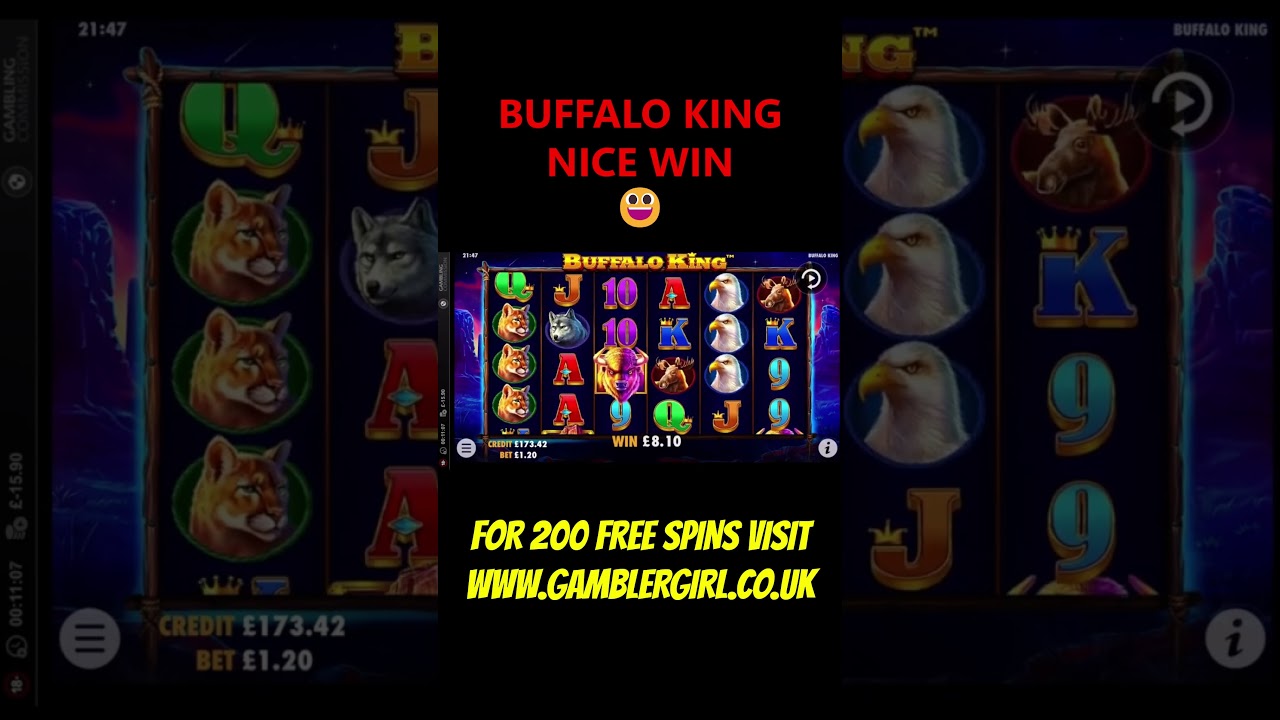 laos casino 🦬BUFFALO KING NICE WIN🦬 slot casino shorts