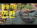 [일상 Vlog]광장시장 천연염색한 인견매장 |인견옷 코디 | 후배집 식사초대