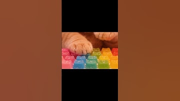 Cat Typing on Rainbow Keyboard AI ASMR for Sleep & Relaxation |  #asmr