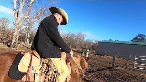 How to Teach a Young Horse to Open a Gate Safely
