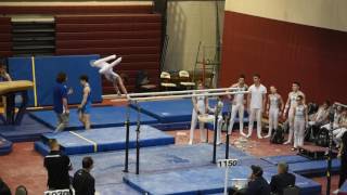 2017 SF   P Bars