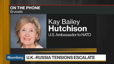 Ambassador Hutchison Says U.S. Stands With the U.K.