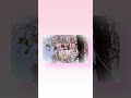 #春泥棒 #桜 #ヨルシカ #スマホ編集 #japan #春 #バス