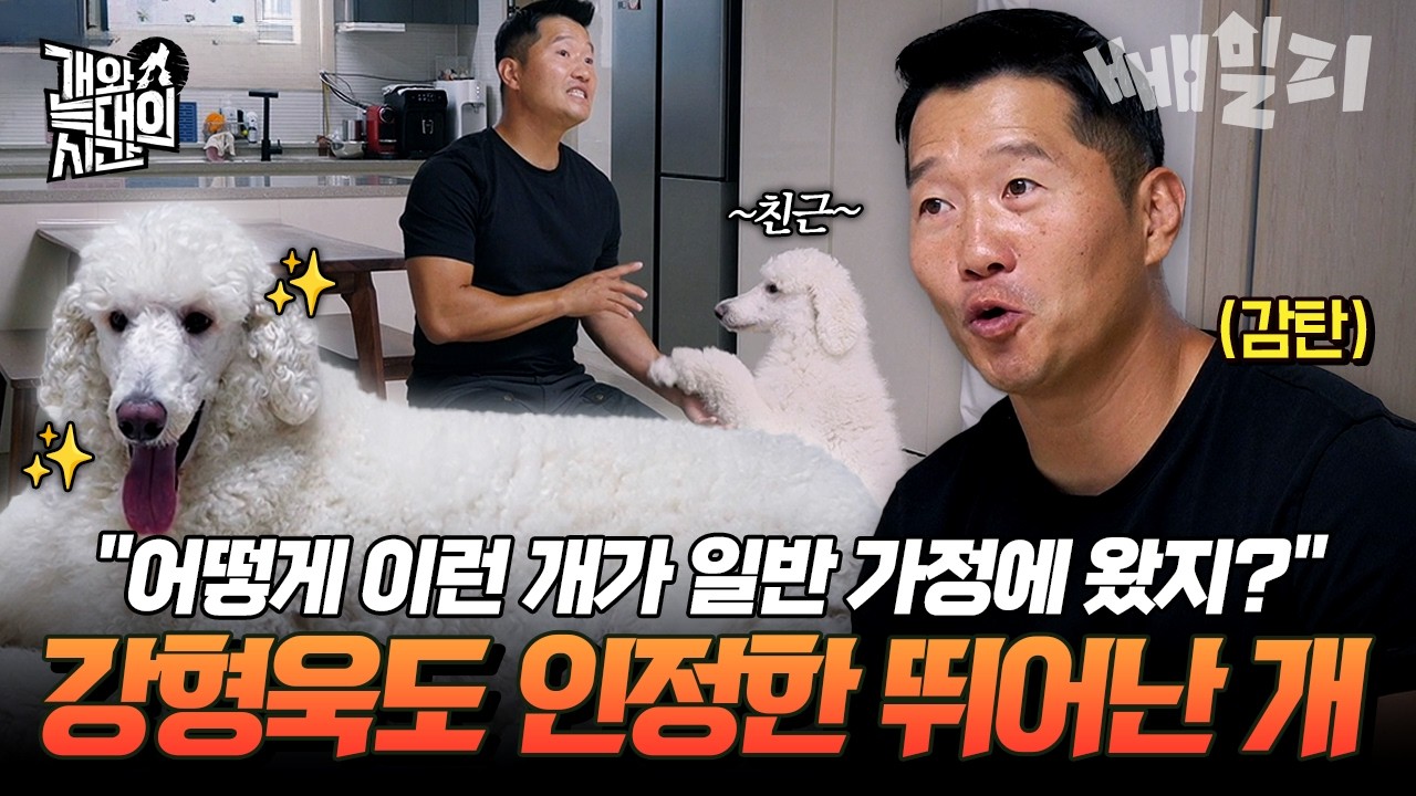 "아주 괜찮은 개예요"🤗 강형욱도 인정한 놀라울 만큼 똑똑한 스탠다드 푸들🐶 | #개와늑대의시간 9회