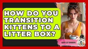 How Do You Transition Kittens To A Litter Box? - Happy Cat Handbook