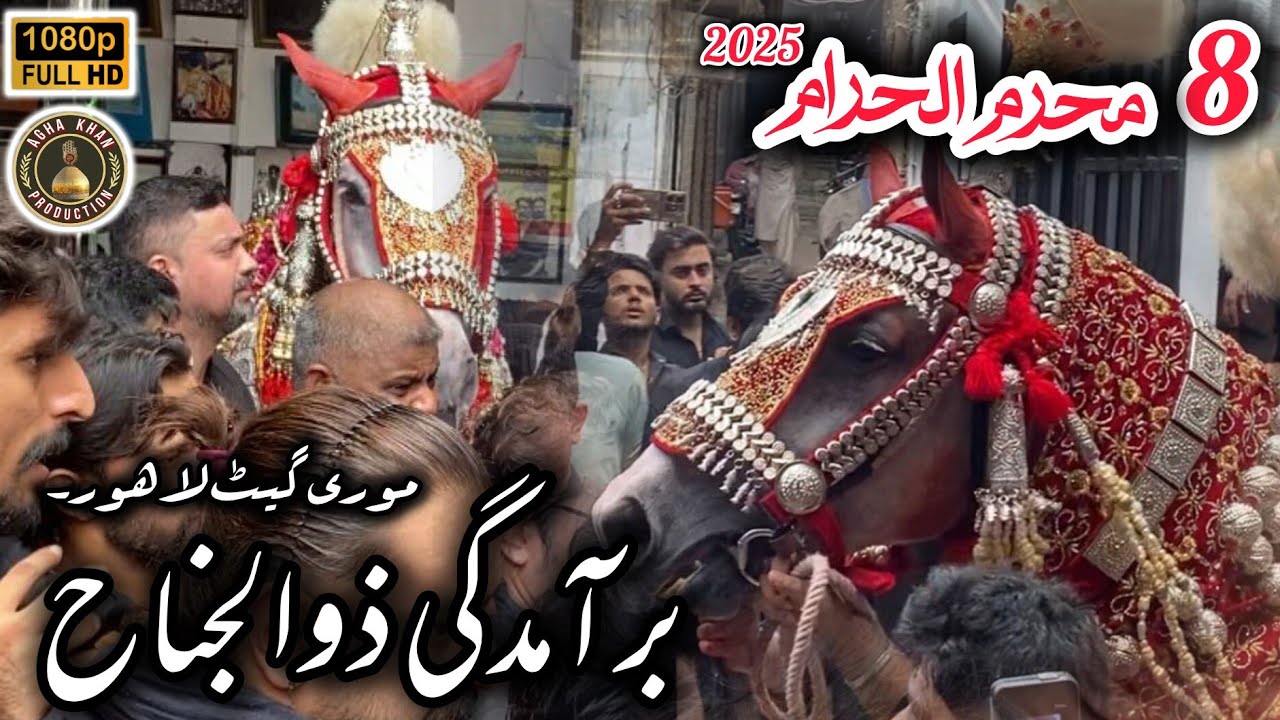 Baramdai Zuljanah (Shah Murtajiz) | 8 Muharam 2025 | Mori Gate Lahore #foryou #zuljnah #lahore