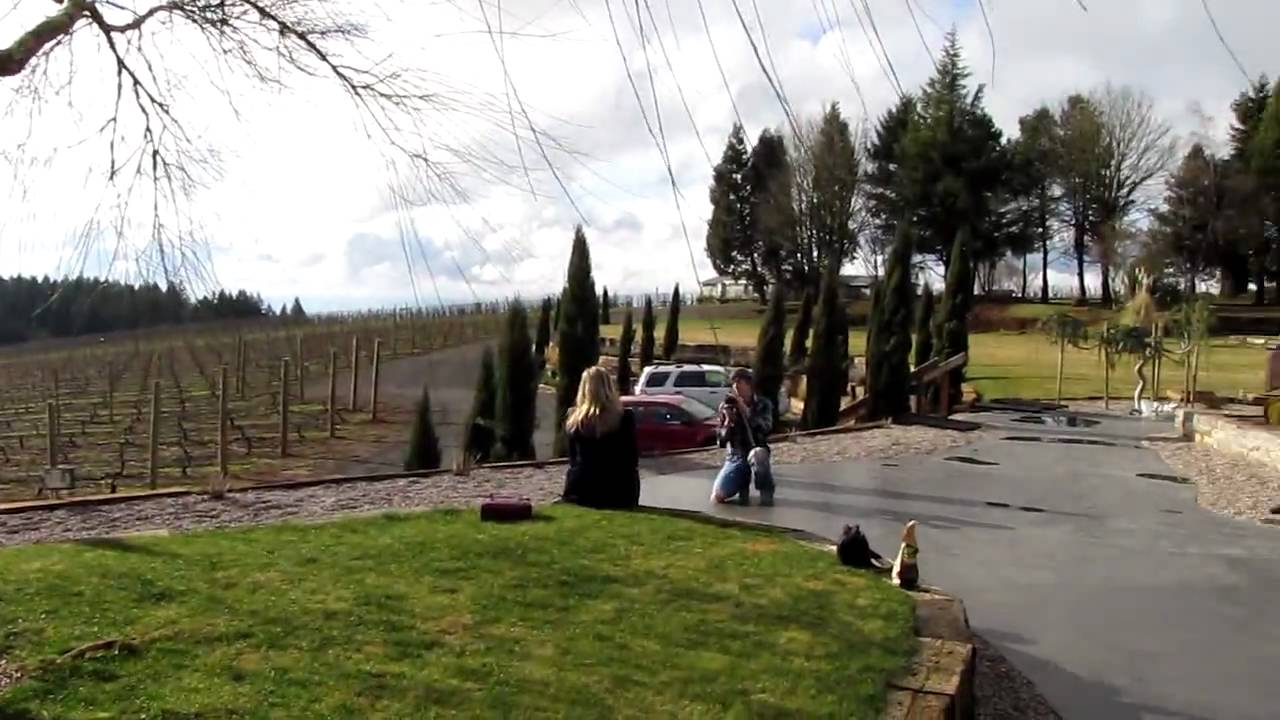 White Rose Farm Vineyard, Willamette Valley - YouTube