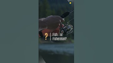 Why Chasing Shiny Objects Will Leave You Broke! Unlock the Power of Asset Building!