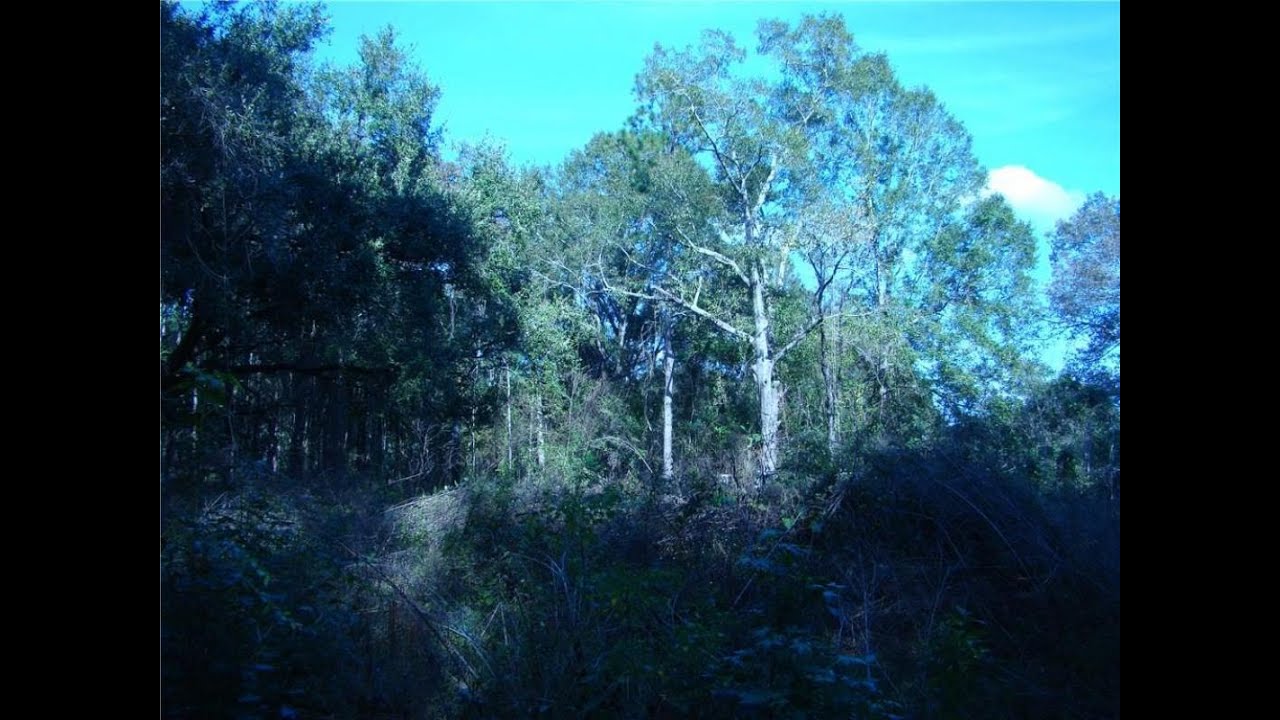 Lots And Land for sale LILLY WILSON LANE, BAY AL 36507 YouTube