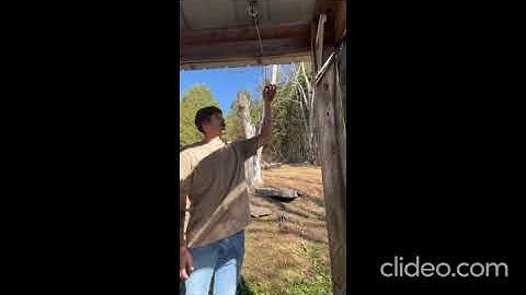 Dynamics Project #5 - Pendulum