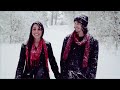 Fleet Foxes - white winter hymnal (music video)