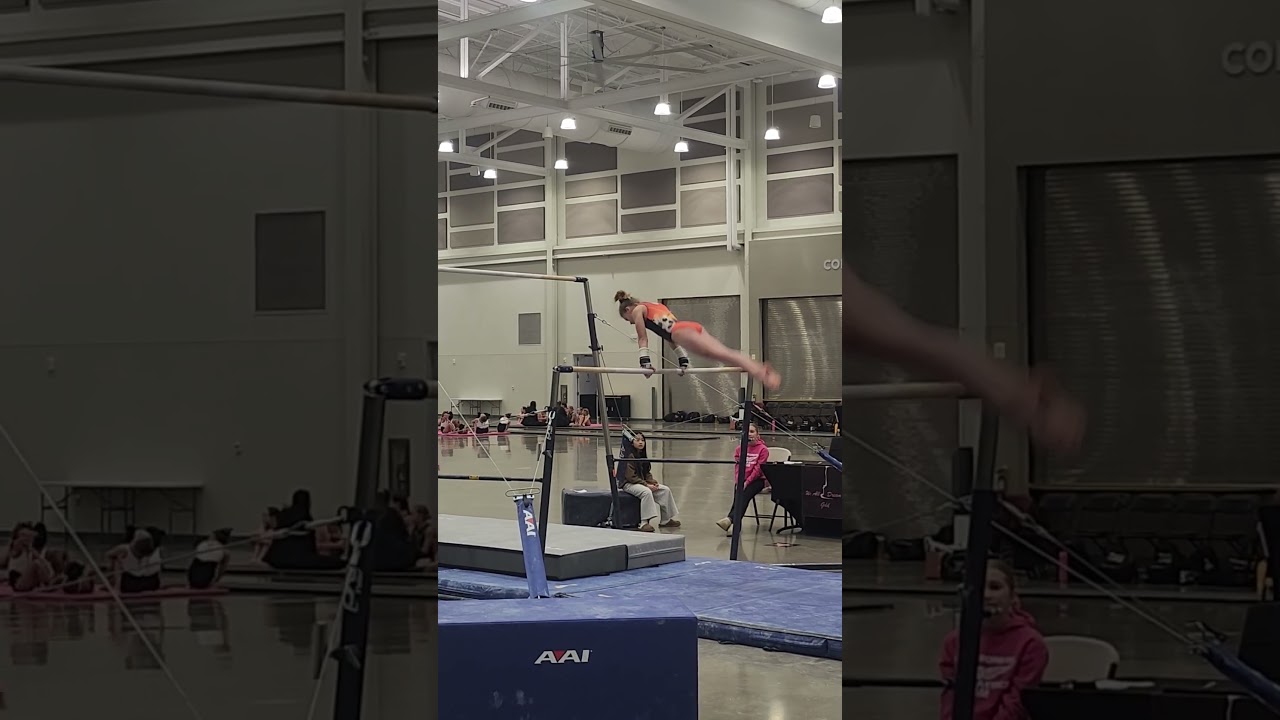 Dream in Gold - 1/17/26 - 9.5