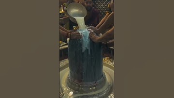 shiv aarti status|shiv mantra|shiv shankar|rudrabhishek|shiv shakti|shiv stuti|#shiv #shorts