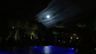 Yanni – “Just Before The Eclipse”… NWN Net Worth