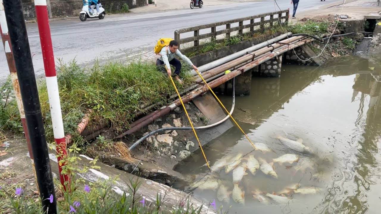 Thèm cá quá tôi liều mạng ra đường quốc lộ kích Cá ,tưởng không có cá ai ngờ