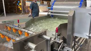 Fresh Cut Vegetable Processing Line