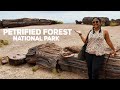 Petrified Forest National Park | One Day Travel Guide