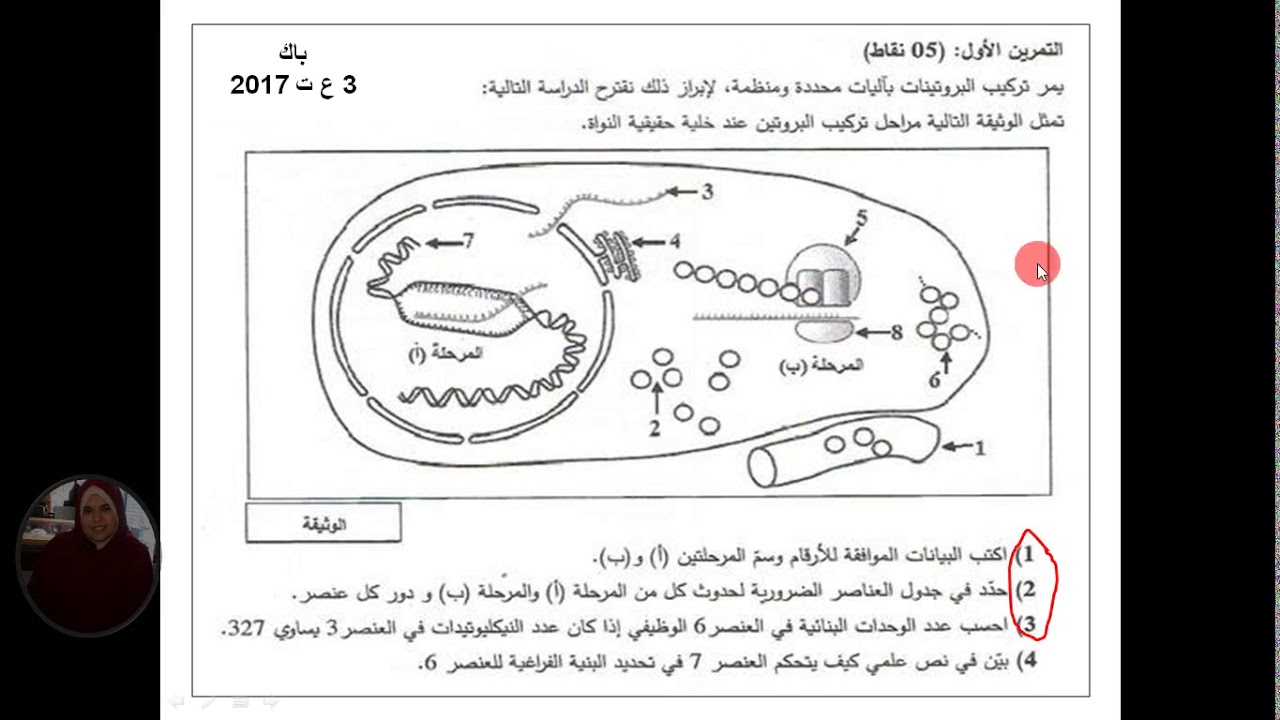 العرض 10 المراجعة الذكية للوحدة1 الجزء الرابع