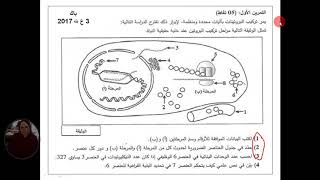 العرض 10 المراجعة الذكية للوحدة1 الجزء الرابع
