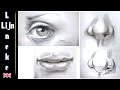 Easy EYE NOSE and MOUTH for beginners pencil drawing