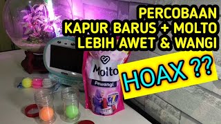 Download lagu Pewangi kapur barus toilet agar awet