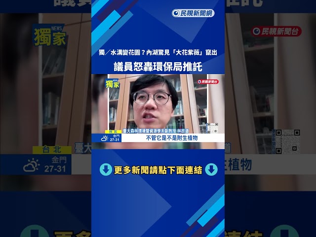 誰的責任? 內湖水溝驚見"大花紫薇" 環保局驚回:私人範圍－民視新聞