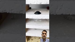 metal ball experiment #wood #satisfying #expriment #metalball #wow #amazing