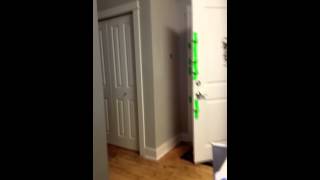 Funny Prank with Party Poppers
