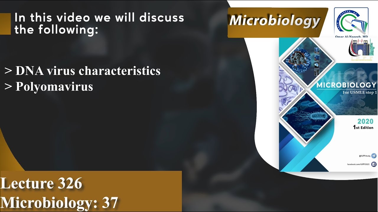 DNA virus characteristics | Polyomavirus