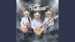 Video thumbnail of "Los Del Vallado - Como la Flor"