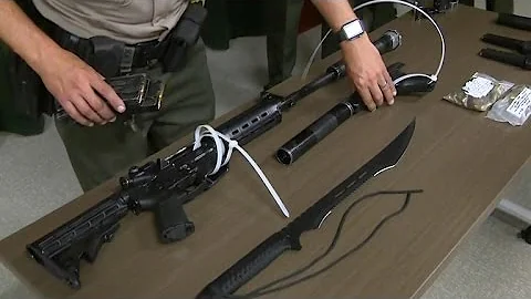 Man carrying weapons cache arrested at train station