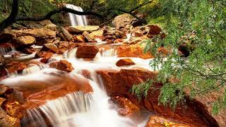 Leylo Leylo Zirave - - Cover Resimi