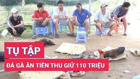 Bắt quả tang 19 người tụ tập đá gà ăn tiền thu giữ 110 triệu đồng