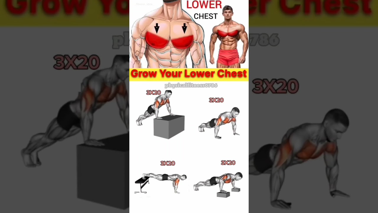 Lower Chest Workout For MASSIVE GAINS (2024) |