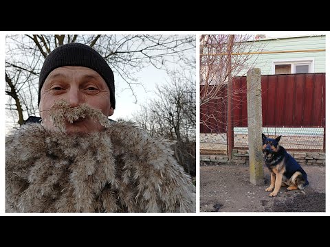 Живём на Кубани.Юг.Январь.Посадили