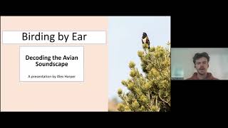 Birding by Ear