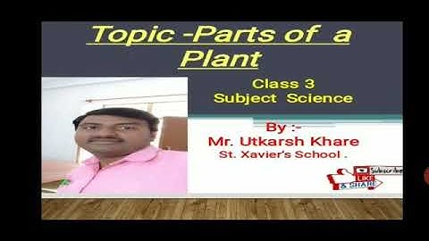 #CLASS  #3 #SUBJECT #SCIENCE #LESSON #2 #TOPIC #PARTS #OF #A #PLANT #BY #MR #UTKARSH #KHARE #CBSE