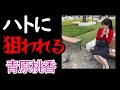 ストローバコン第二弾もあります ウェザーニュース切り抜き 青原桃香 ストローバコン第二弾もあります ウェザーニュース切り抜き 青原桃香