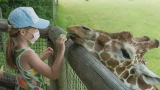 This segment is sponsored by binder park zoo. with 170 acres of
exhibits and natural terrain, the well-being their guests top-of-mind,
zoo...