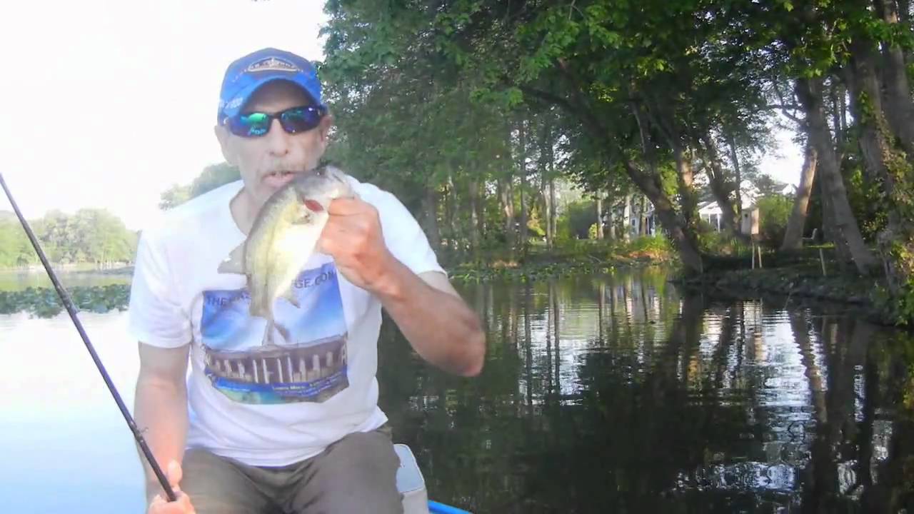 POST SPAWN TIPS NORTHEAST BASS FISHING. YouTube