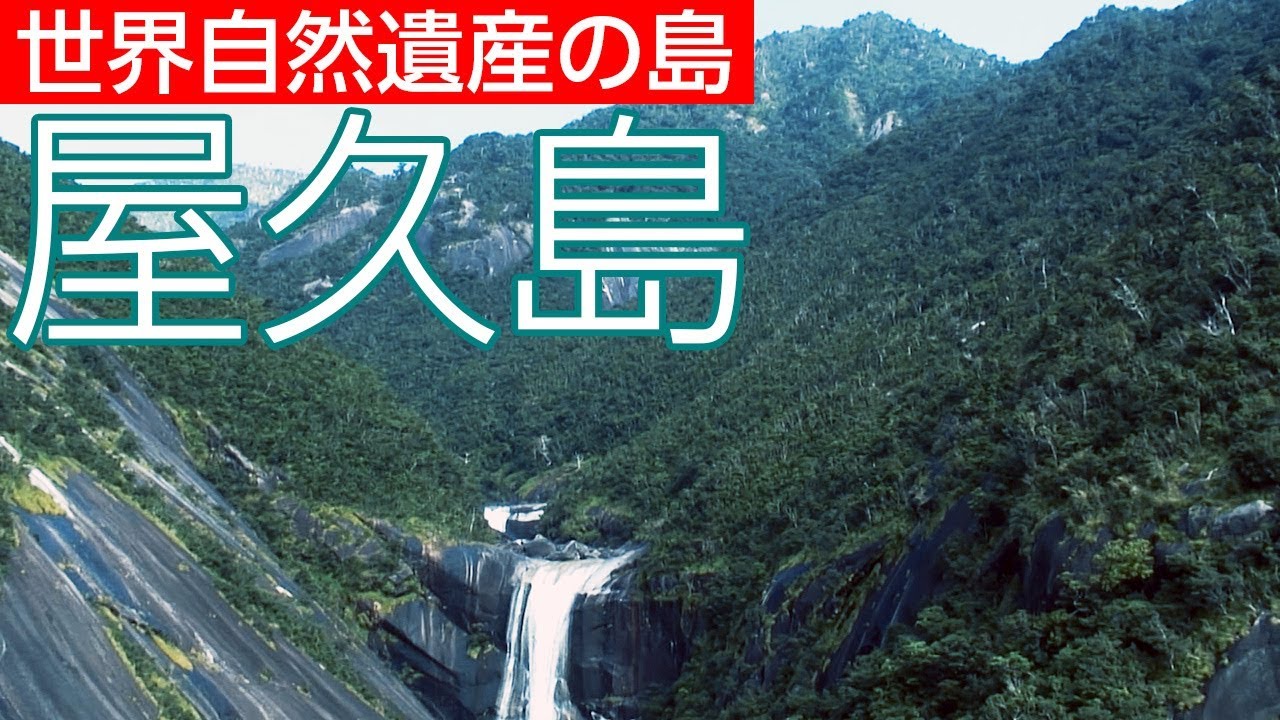 日本初の世界自然遺産・屋久島(鹿児島県)