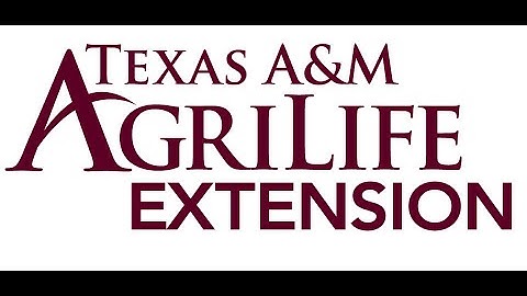 Wine MicroOxygenation - MOX, a tool for enhanced winemaking, a guide to proper practices