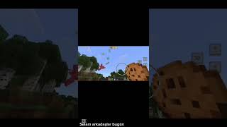 Minecraft bazı bilgiler. #keşfetbeniöneçıkar #keşfet #minecraftshorts #2026 #minecraftbilgi