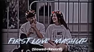 First love ❤️ Mashup Song - Mind Relax Song - Slowed Reverb Song