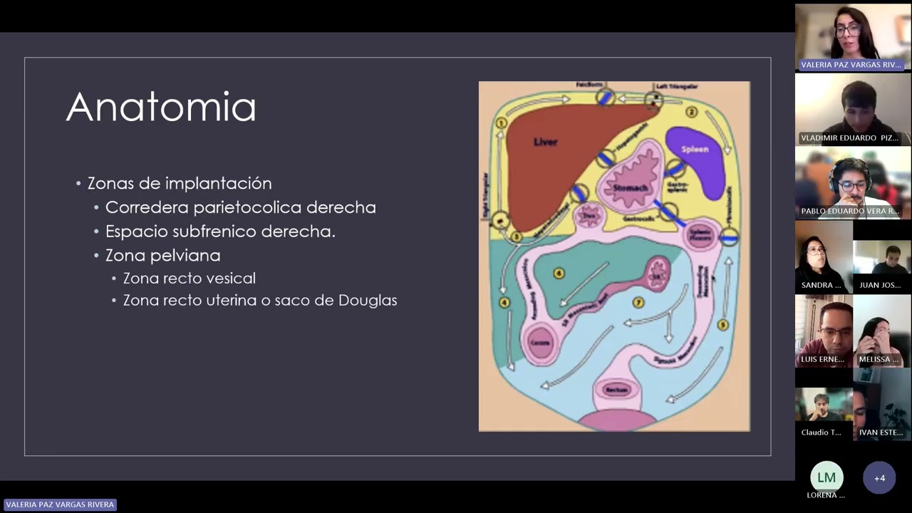 Peritoneo patológico: Diagnósticos diferenciales.