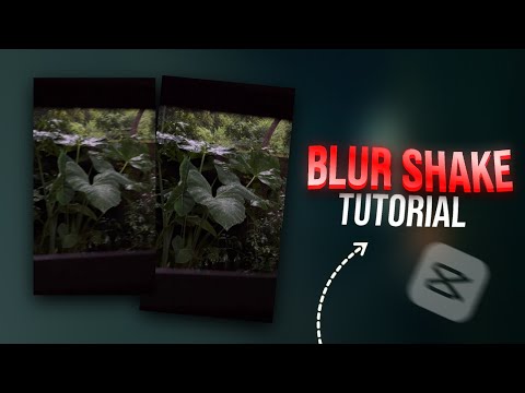 BLUR SHAKE EFFECT TUTORIAL | HOW TO EDIT SFX REELS IN CAPCUT | MALAYALAM