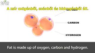 A zsírbontás kémiája